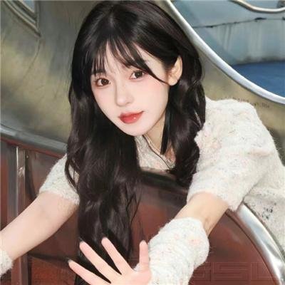 暗杀吉斯公爵 封面