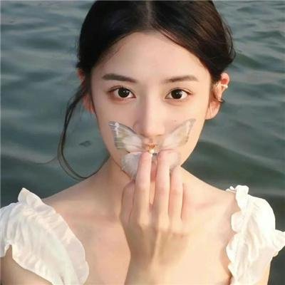 卧底羔羊 封面
