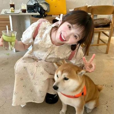 传教士第四季 封面